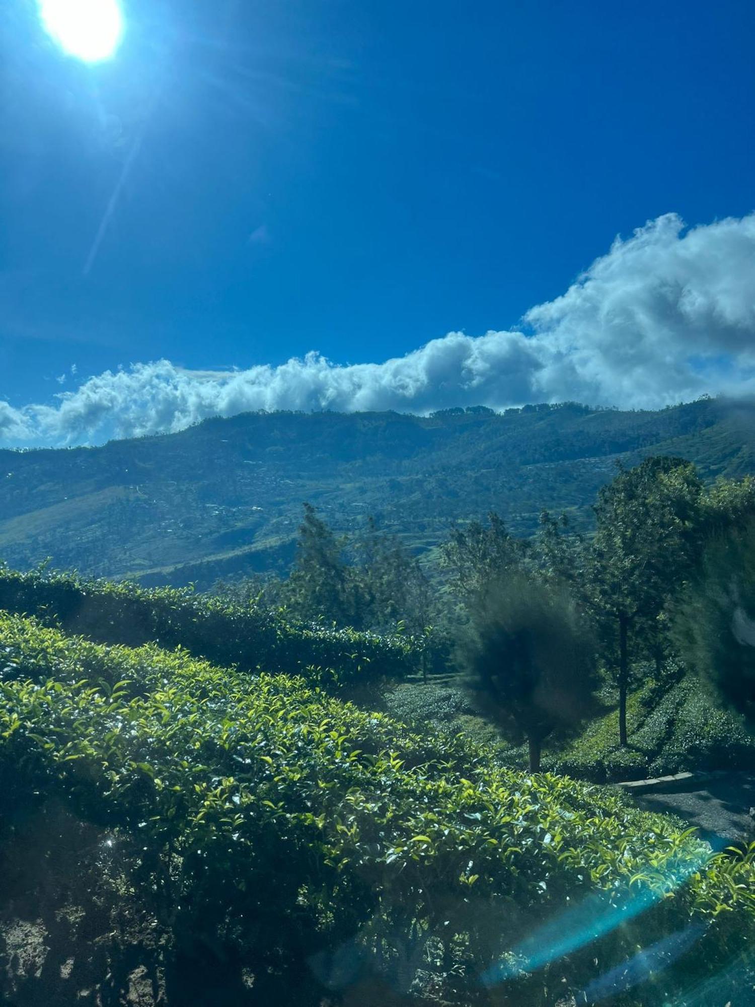 Grace Holiday Bungalow Haputale Buitenkant foto
